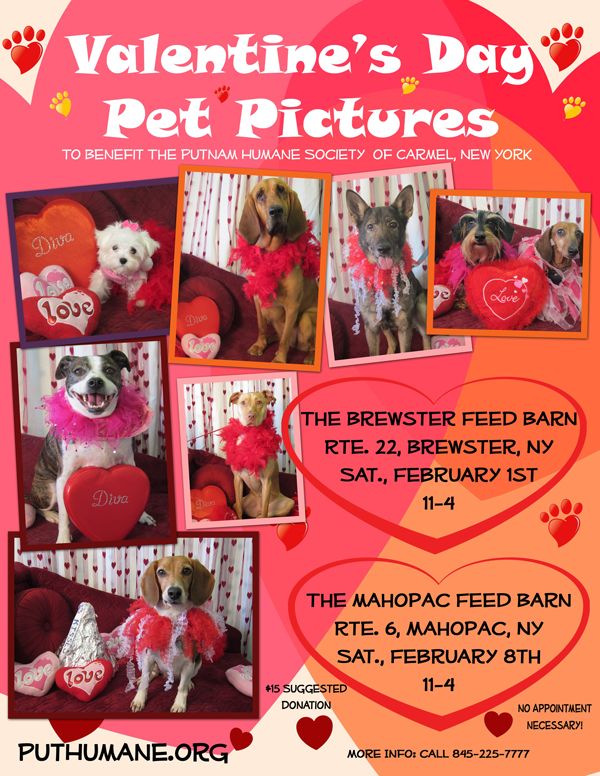 Upcoming Events Valentine S Day Pet Pictures Feb 8th Putnam