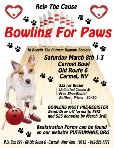 Bowling Poster 2014 copy