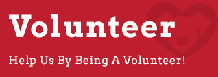 Button-Volunteer