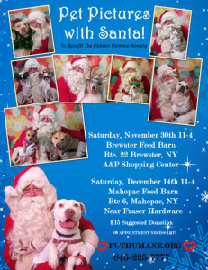 PHS-Santa-Poster-2013-Gilli