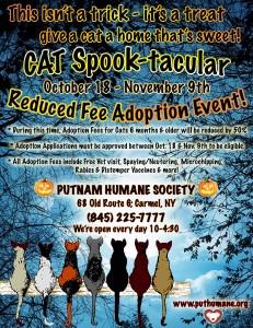 Cat Spooktakular Flyer Resized