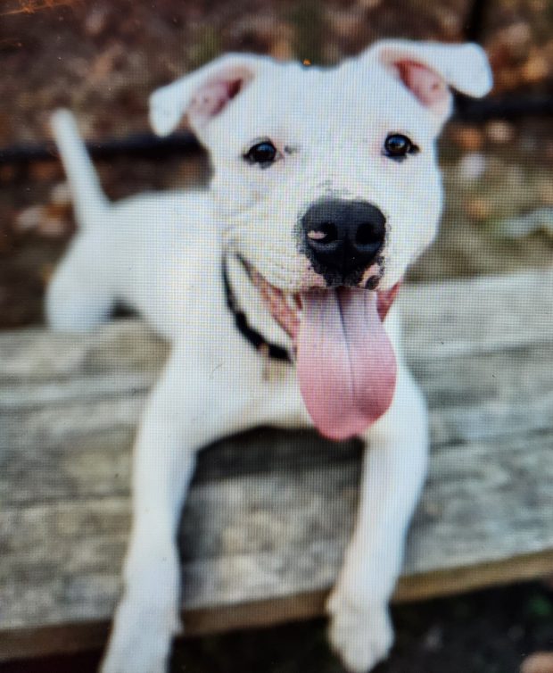 Quincy